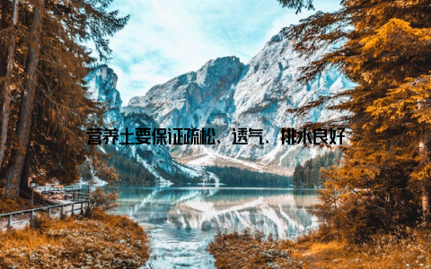 营养土要保证疏松、透气、排水良好