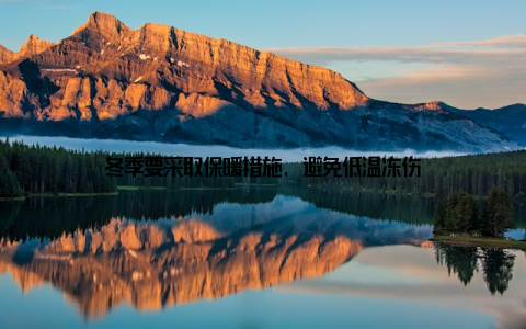 冬季要采取保暖措施, 避免低温冻伤