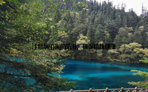 注意病虫害的防治, 确保植株健康