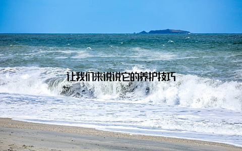让我们来说说它的养护技巧