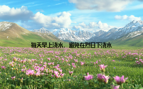 每天早上浇水, 避免在烈日下浇水