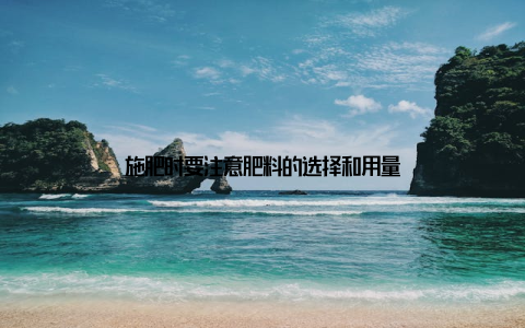 施肥时要注意肥料的选择和用量