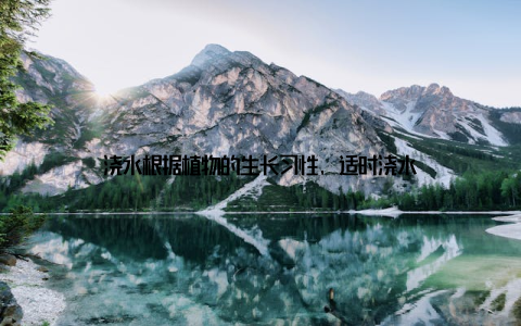 浇水根据植物的生长习性, 适时浇水
