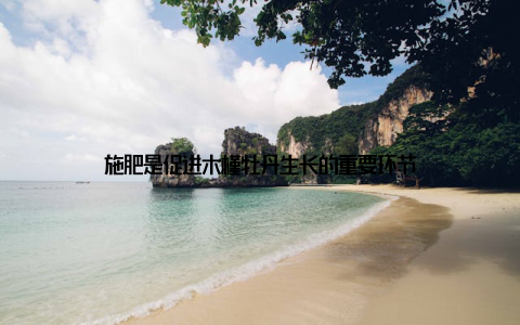 施肥是促进木槿牡丹生长的重要环节