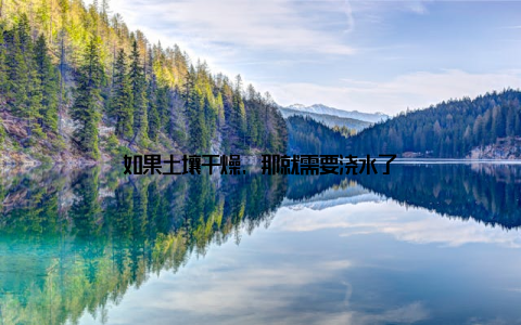 如果土壤干燥, 那就需要浇水了