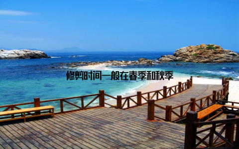 修剪时间一般在春季和秋季