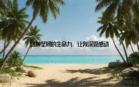 这种坚韧的生命力, 让我深受感动