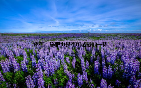 还有, 施肥也是不可或缺的一环