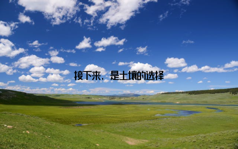 接下来, 是土壤的选择