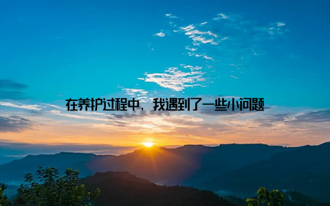 在养护过程中, 我遇到了一些小问题