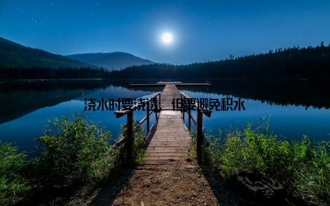 浇水时要浇透, 但要避免积水