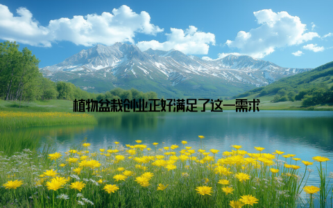 植物盆栽创业正好满足了这一需求