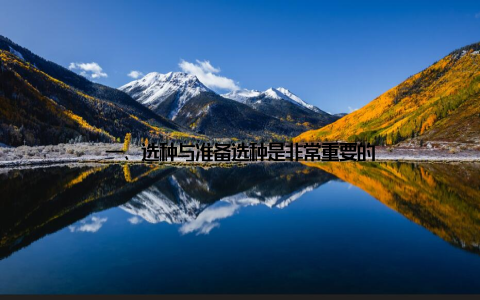 一、选种与准备选种是非常重要的