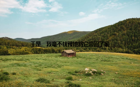 于是, 我毫不犹豫地将它带回了家