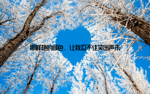 那鲜艳的颜色, 让我忍不住笑出声来