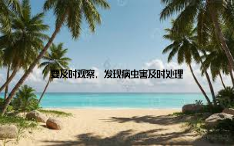 要及时观察, 发现病虫害及时处理