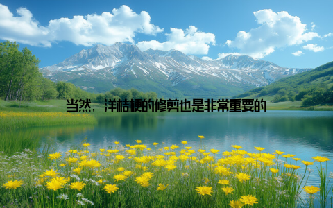 当然, 洋桔梗的修剪也是非常重要的