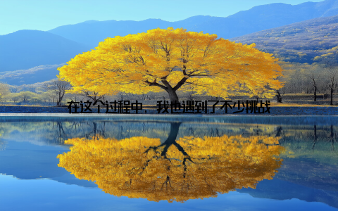 在这个过程中, 我也遇到了不少挑战