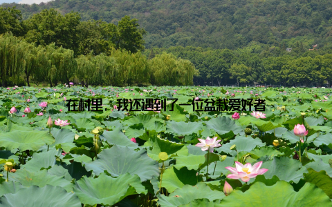 在村里, 我还遇到了一位盆栽爱好者