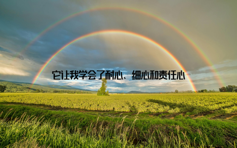 它让我学会了耐心、细心和责任心