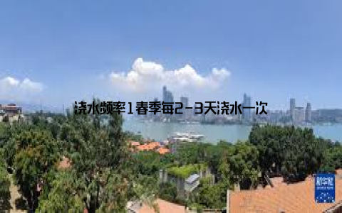 浇水频率1春季每2-3天浇水一次