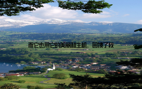 而它也用它的美丽和生机, 回馈了我