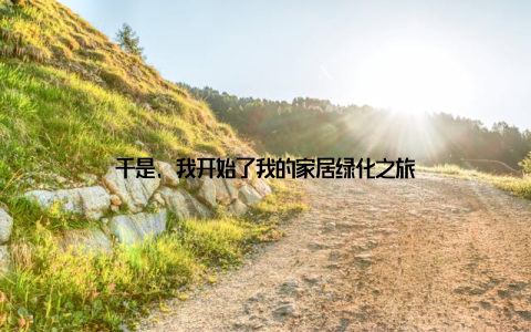 于是, 我开始了我的家居绿化之旅