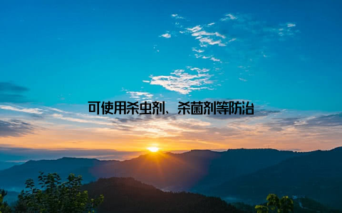 可使用杀虫剂、杀菌剂等防治