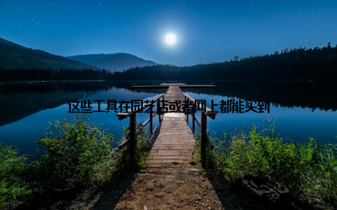 这些工具在园艺店或者网上都能买到