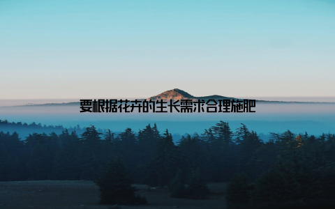 要根据花卉的生长需求合理施肥