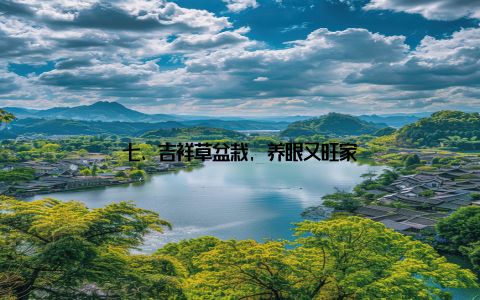 七、吉祥草盆栽, 养眼又旺家