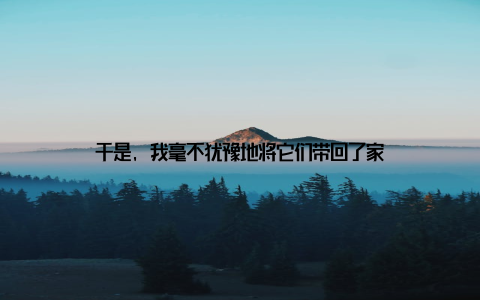 于是, 我毫不犹豫地将它们带回了家