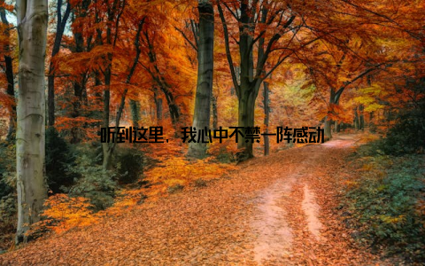 听到这里, 我心中不禁一阵感动