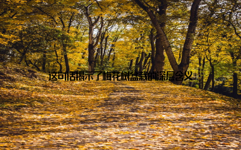 这句话揭示了梅花树盆栽的深层含义