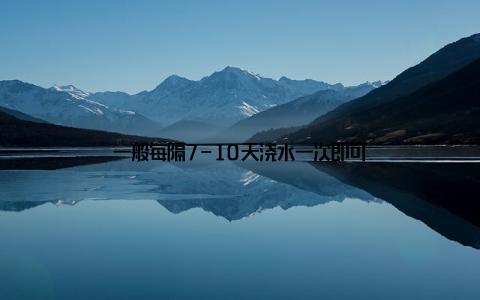 一般每隔7-10天浇水一次即可