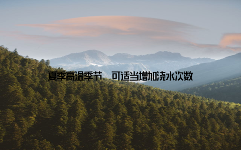 夏季高温季节, 可适当增加浇水次数