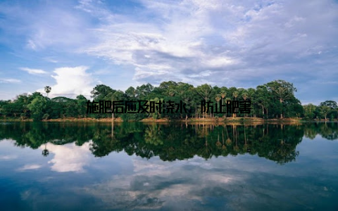 施肥后应及时浇水, 防止肥害