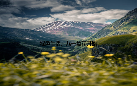 绿色生活, 从一盆花开始