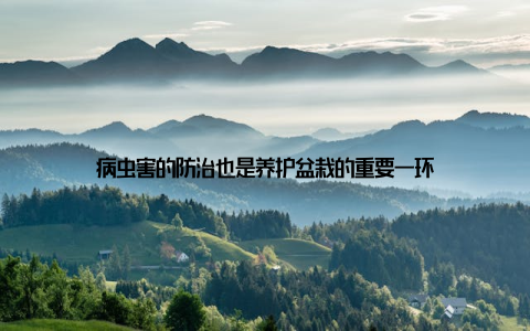病虫害的防治也是养护盆栽的重要一环