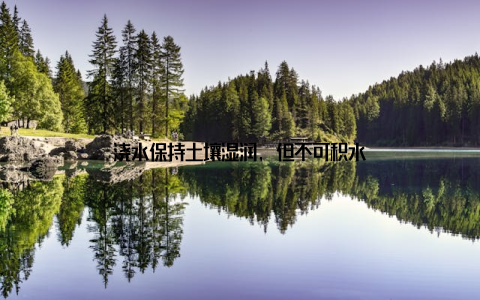 浇水保持土壤湿润, 但不可积水