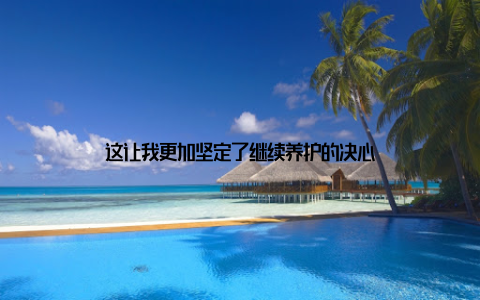 这让我更加坚定了继续养护的决心
