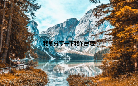 我想分享一下我的感受