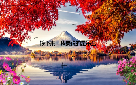 接下来, 我要说的是吊兰