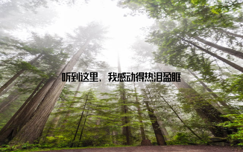 听到这里, 我感动得热泪盈眶