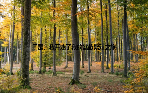 于是, 我开始了我的盆栽繁殖之旅