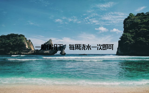 一般情况下, 每周浇水一次即可