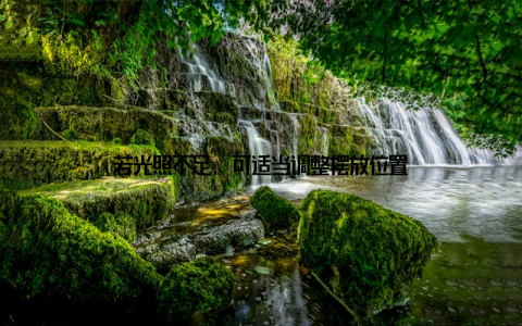 若光照不足, 可适当调整摆放位置
