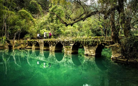 如今, 我的发财树已经陪伴了我五年