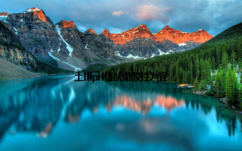 土壤pH值以微酸性为宜