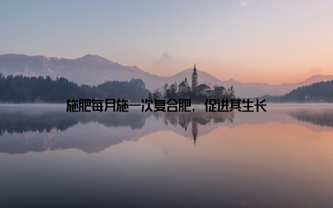 施肥每月施一次复合肥, 促进其生长